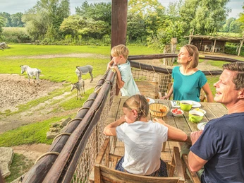 Familie Lodge_Frühstück © Zoo Leipzig.jpg