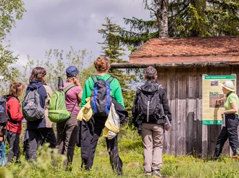 Was ist ein Hochmoor. Bild: Monika Ziegler