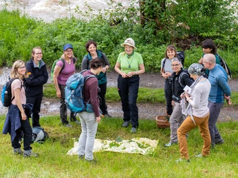 Pflanzen benenne und erkennen. Bild: Monika Ziegler