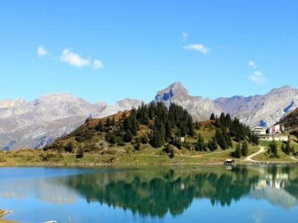 Alpstubli