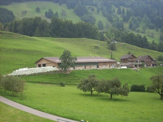 Räbalp
