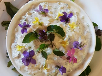 Kräuterdipp