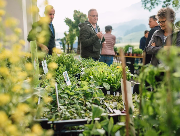 Eine grosse Vielfalt an Jungpflanzen und Kräutern, Sträuchern, Gemüse oder Wildgeranien erwartet Sie.