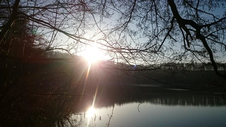 Pulvermaar mit Herbstsonne