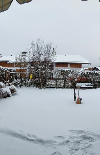 Garten im Winter