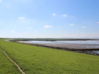 Land & Leute Deich+ Wattenmeer_ IMG_2247.JPG