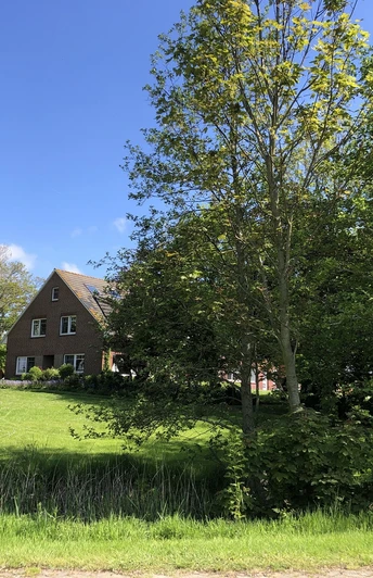 Land & Leute Warf-Bauernhof_ FA632BBB.JPG