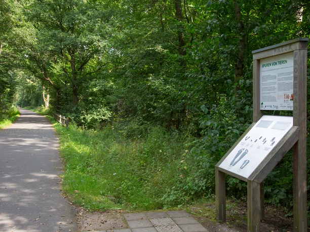 Hevehalbinsel Naturpromenade
