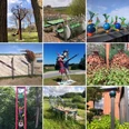 Lieblingsorte in Apen-Collage 4-Apen-Foto Antje Geisler.JPG Die Bildcollage zeigt eine Auswahl skurriler Kunstobjekte in Apen vor grüner Natur und auf Plätzen.