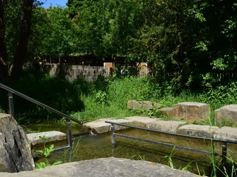 Tretbecken an der Heder | Salzkotten-Upsprunge