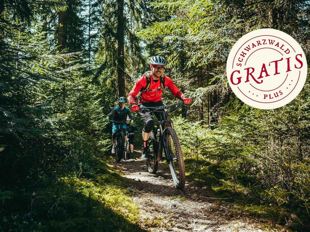 Baiersbronner Himmelsliegentour