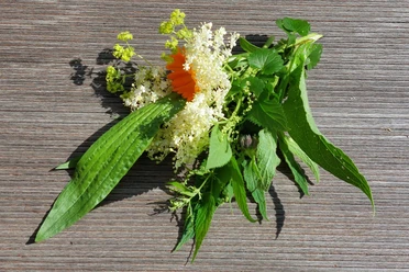 Een boeket van groene bladeren, witte vlierbloemen en een oranjekleurige bloesem ligt op een houten ondergrond.