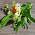 Kräuter.jpg Ein Strauß aus grünen Blättern, weißen Holunderblüten und einer orangefarbenen Blüte liegt auf einer Holzoberfläche.