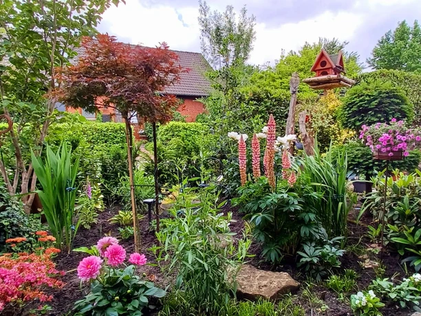 IMG-20240525-WA0012.jpg Ein üppiger Garten voller farbenprächtiger Blumen und Sträucher, mit einem hölzernen Vogelhaus in der Mitte.