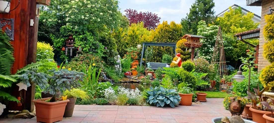 IMG-20240525-WA0016.jpg Ein liebevoll angelegter Garten mit üppiger Pflanzenpracht und einer einladenden Sitzbank am Teich.