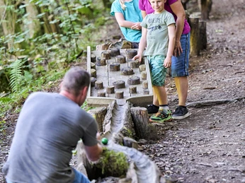 Die Waldkugelbahn ist besonders für Kinder ein Highlight
