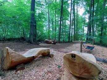 Heilwald - Waldbadezimmer