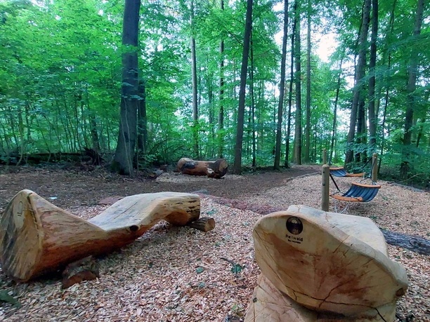 Heilwald - Waldbadezimmer