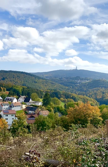 Blick von Seelenberg Richtung Großer Feldberg