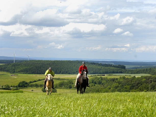 Impression Taunuslandschaft