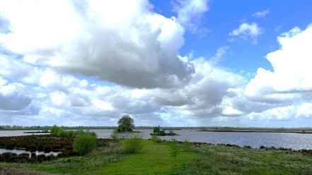 Sommer-Naturschutzgebiet Polder Holter Hammrich, Gemeinde Rhauderfehn, Blick vom Rundkurs aus auf das Wasser und die Inselgruppen Sommerliche Ansicht des Naturschutzgebiets Polder Holter Hammrich in der Gemeinde Rhauderfehn. Der Blick vom Rundkurs zeigt das glitzernde Wasser und die kleinen Inselgruppen, die in der Landschaft verstreut sind. Der Anblick vermittelt ein Gefühl von Ruhe und Naturverbundenheit.