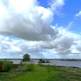 Sommer-Naturschutzgebiet Polder Holter Hammrich, Gemeinde Rhauderfehn, Blick vom Rundkurs aus auf das Wasser und die Inselgruppen Sommerliche Ansicht des Naturschutzgebiets Polder Holter Hammrich in der Gemeinde Rhauderfehn. Der Blick vom Rundkurs zeigt das glitzernde Wasser und die kleinen Inselgruppen, die in der Landschaft verstreut sind. Der Anblick vermittelt ein Gefühl von Ruhe und Naturverbundenheit.