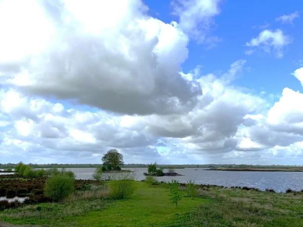 Sommer-Naturschutzgebiet Polder Holter Hammrich, Gemeinde Rhauderfehn, Blick vom Rundkurs aus auf das Wasser und die Inselgruppen Sommerliche Ansicht des Naturschutzgebiets Polder Holter Hammrich in der Gemeinde Rhauderfehn. Der Blick vom Rundkurs zeigt das glitzernde Wasser und die kleinen Inselgruppen, die in der Landschaft verstreut sind. Der Anblick vermittelt ein Gefühl von Ruhe und Naturverbundenheit.