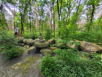 Infogarten Lorup_Book_Aufnahme NF ©Naturpark Hümmling (24).jpg Steinhaufen und Natursteinformationen im grünen Wald des Infogartens Lorup im Naturpark Hümmling