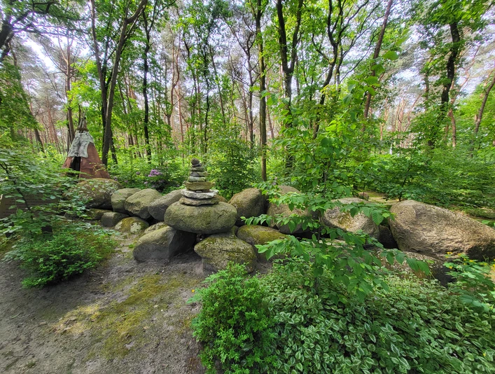 Infogarten Lorup_Book_Aufnahme NF ©Naturpark Hümmling (24).jpg