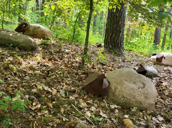 Infogarten Lorup_Book_Aufnahme TH ©Naturpark Hümmling (65)-1.jpg