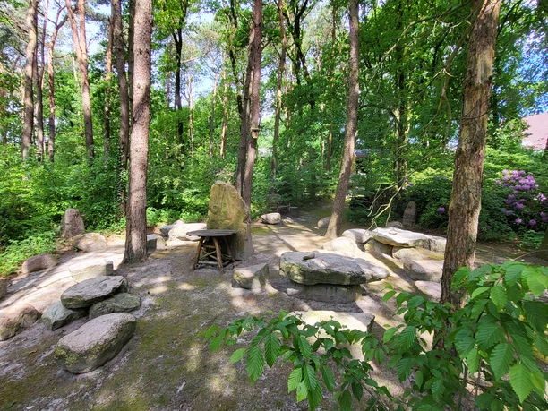 Infogarten Lorup_Book_Aufnahme TH ©Naturpark Hümmling (72).jpg Steinkreis mit Tischen und Sitzsteinen im schattigen Wald des Infogartens Lorup im Naturpark Hümmling.