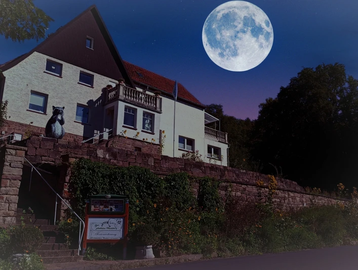 Zum glücklichen Waschbär