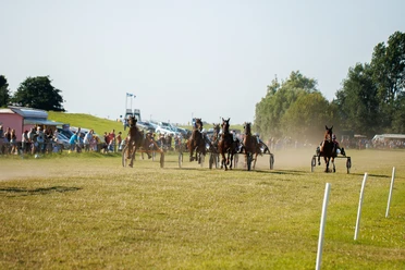 Hooksieler-Pferderennbahn-Rennstrecke_Eric Janßen.jpg