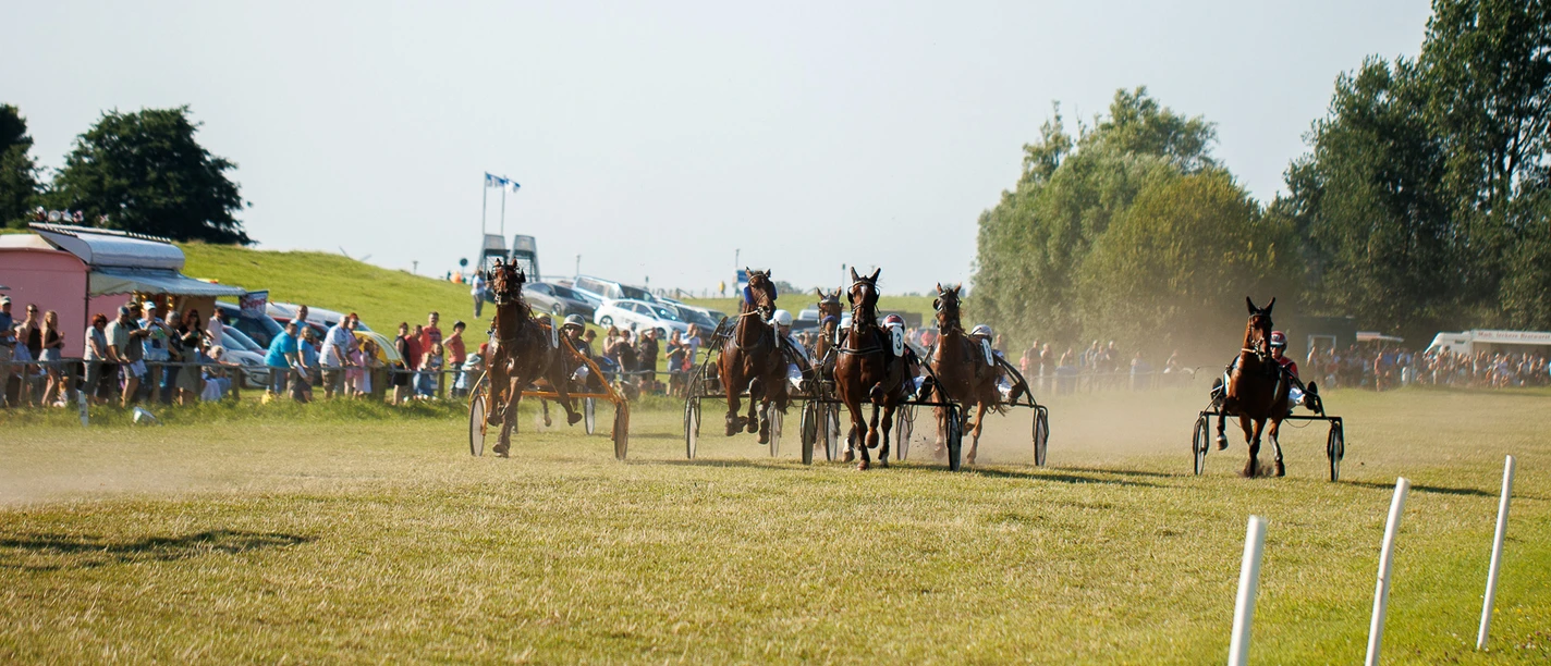 Hooksieler-Pferderennbahn-Rennstrecke_Eric Janßen.jpg