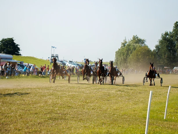 Hooksieler-Pferderennbahn-Rennstrecke_Eric Janßen.jpg