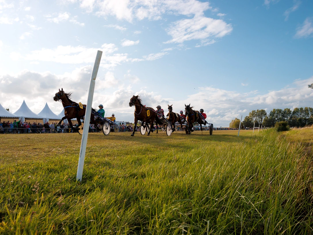 Hooksieler-Pferderennbahn_Eric Janßen.jpg