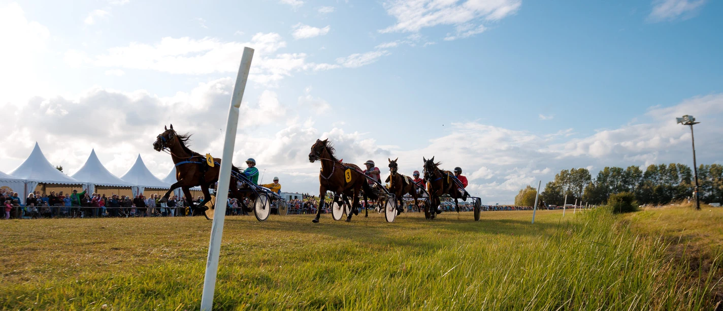 Hooksieler-Pferderennbahn_Eric Janßen.jpg