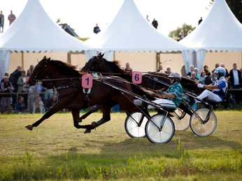 Hooksieler-Pferderennbahn-Trabrennen_Eric Janßen.jpg