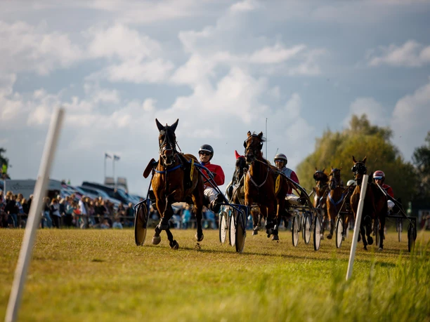 Hooksieler-Pferderennbahn2_Eric Janßen.jpg