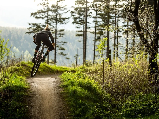 Mountainbikerin auf Trail in Willingen Mountainbikerin auf Trail in Willingen