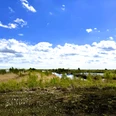 Jammertal_Rhauderfehn_Ostfriesland Weite Moorlandschaft mit Wasserflächen, grünen Büschen und Gras unter blauem Himmel mit weißen Wolken
