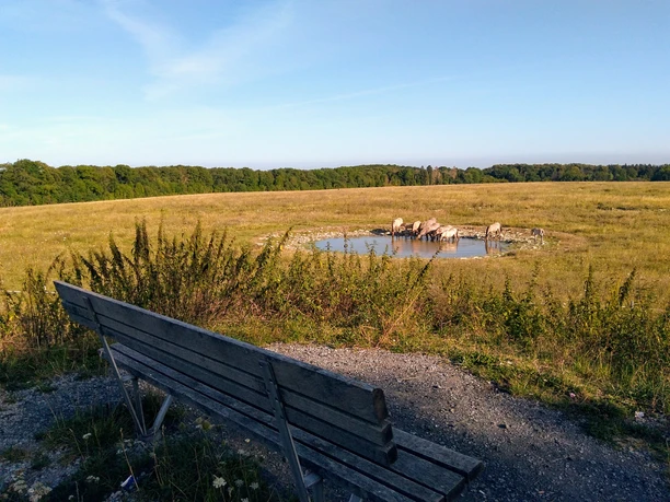 Naturschutzgebiet Kleiberg