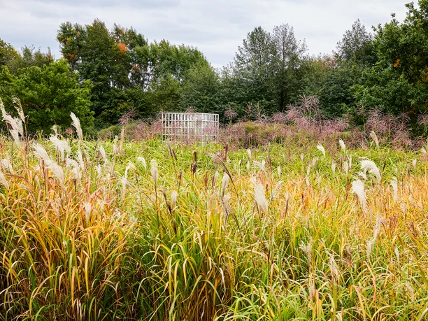 Emscherquellhof, Holzwickede Landschaft mit hohem Gras und Blick auf eine hölzerne Struktur, umgeben von Bäumen im Hintergrund.