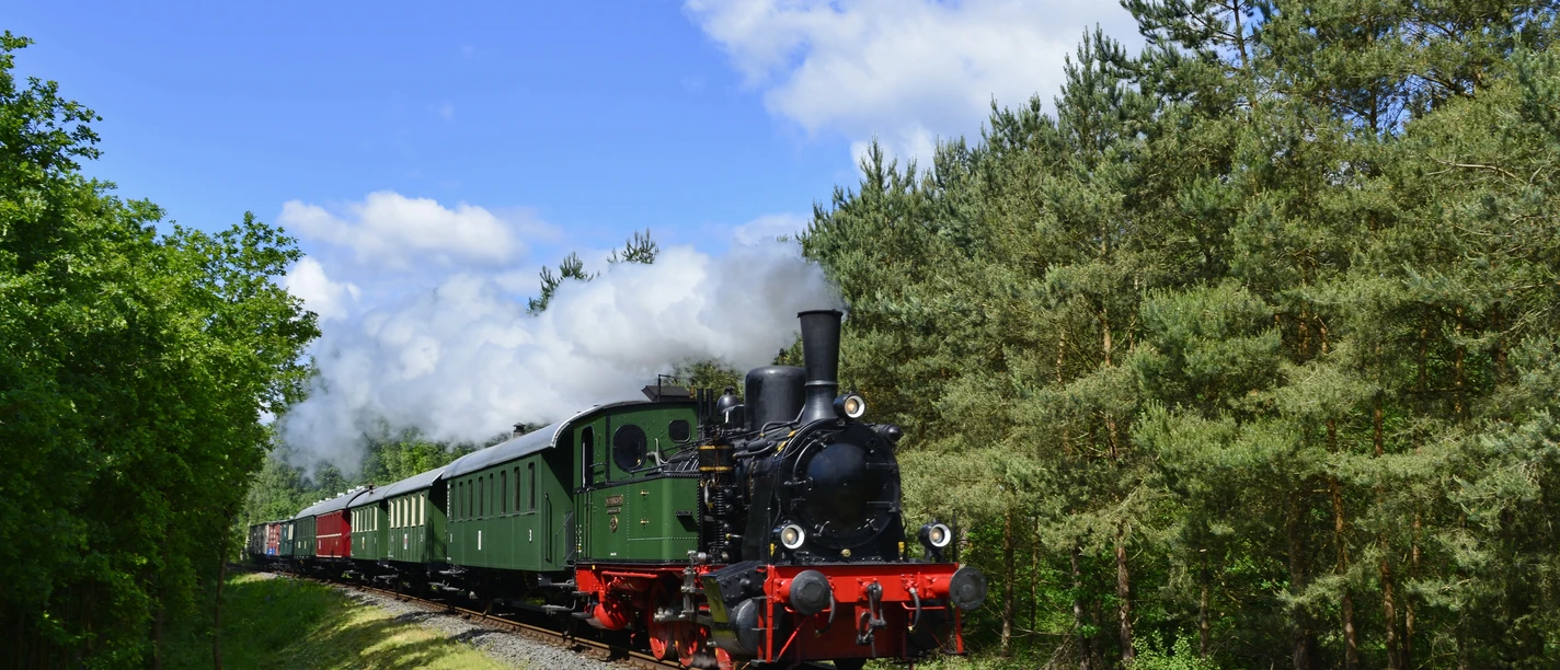 Historischer Zug Historischer Zug