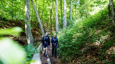 ©Destination Sønderjylland - Kollund-Skov - Gendarmsti - GDK 1024x576 - komprimeret