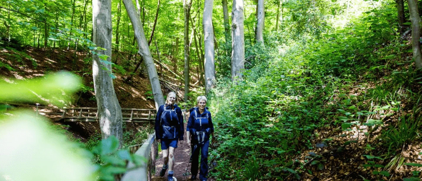 ©Destination Sønderjylland - Kollund-Skov - Gendarmsti - GDK 1024x576 - komprimeret