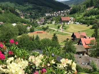 Campingplatz im Sommer