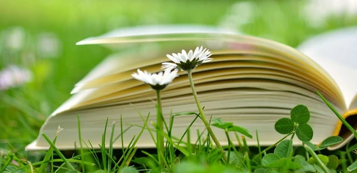 Ein aufgeschlagenes Buch liegt im frischen Gras, umgeben von Gänseblümchen und Kleeblättern.