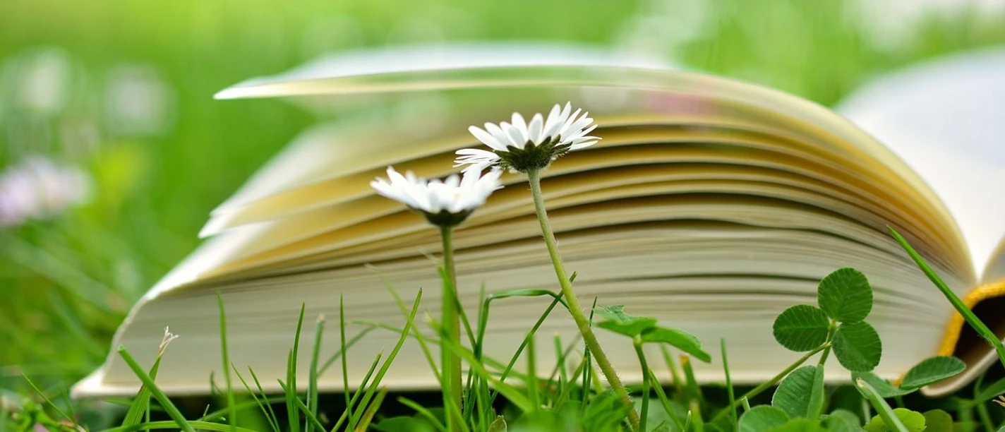 Ein aufgeschlagenes Buch liegt im frischen Gras, umgeben von Gänseblümchen und Kleeblättern.