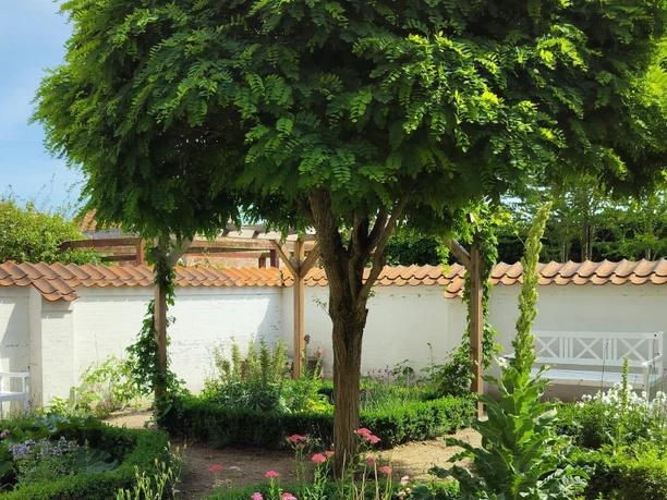 Von Oberbergs Hus - Have